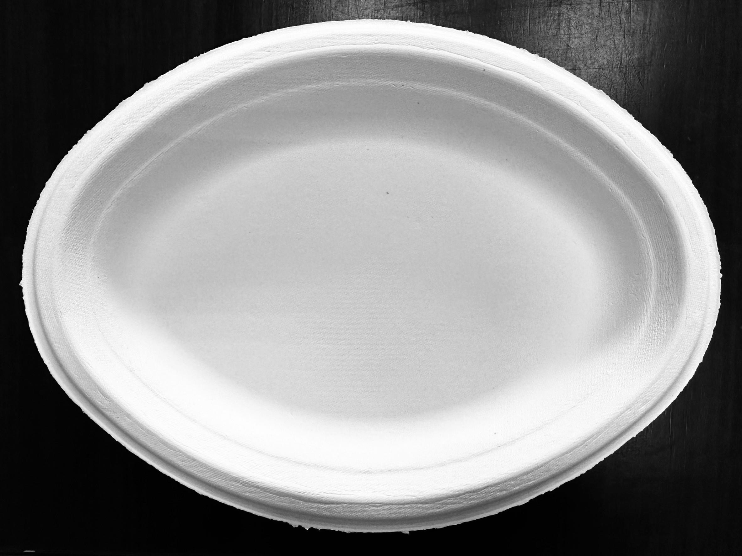 Medium Oval Plate PFAS Free (中橢圓盤)